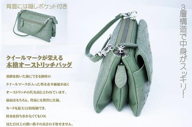 v@|VFbg@㎿@_炩@NR^@RpNg@X}[g݌v  t@bV 