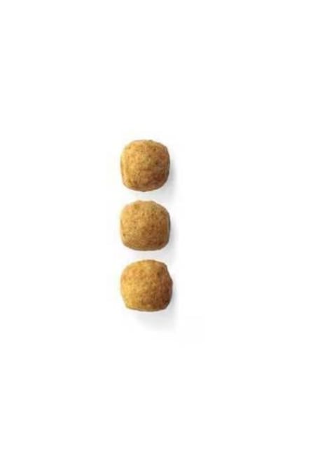 Vi ROYAL CANIN CJi p ̑T|[g [p hCt[h 1kg Ö@H] 1016  ybg/|/| 