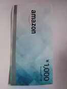 Amazon1000Vi