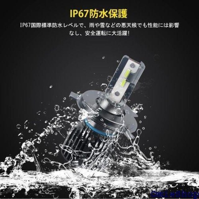 Catland LED tHOv wbhCg H  ̌^ 邢 CSP`bv px 2 439  /oCN