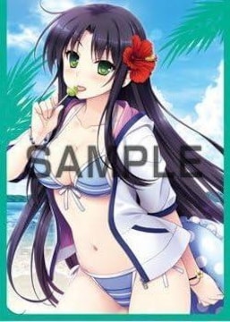 ׂӂƂ  AKABEiSOFT2X[uRNV n[fB!  / ks