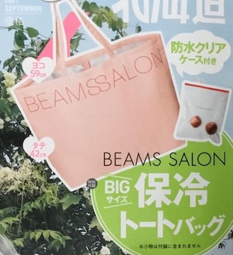 [NVBGt^BEAMS SALONۗ@\tBIGg[g&hXC_[P[XSET
