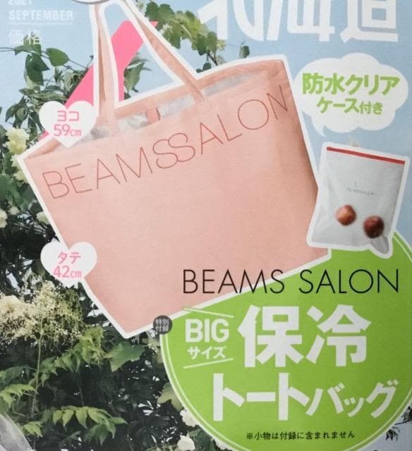 [NVBGt^BEAMS SALONۗ@\tBIGg[g&hXC_[P[XSET   uh 