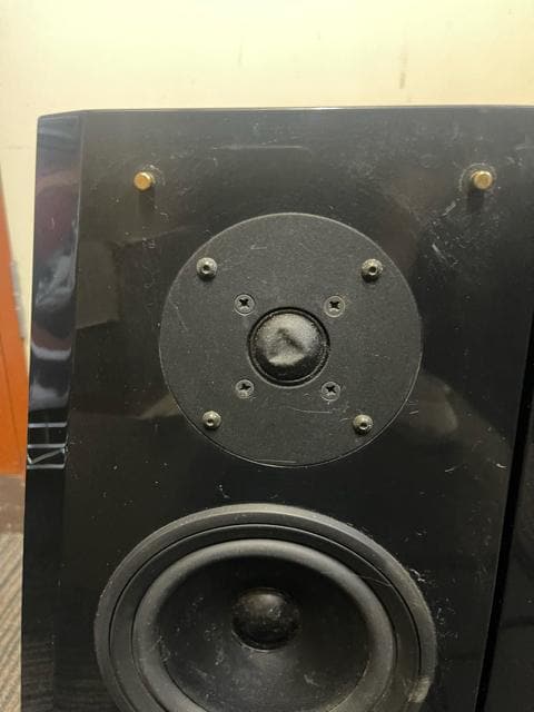 Pioneer S-C5-L yA@Cg@tg@Xs[J[  Ɠd/AV 