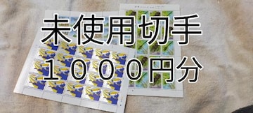 gp؎1000~@p
