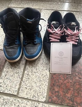 NIKEgrXXRbgubNt@g&NIKEAJ1_[N}iu[2܂Ƃߔ