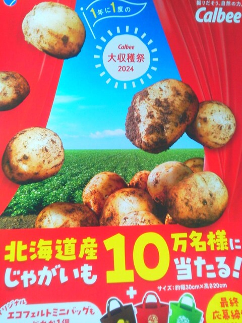 Calbee(Jr[) n 2024 匔12_(3_~4) 