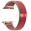 yViElCzApple Watch ( AbvEHb` ) ^Xgbv oh 42