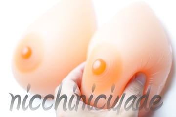 {\̂܂܂ɁVRoXg600glH[]