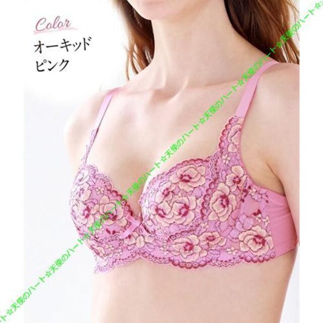 yzVi gv 3/4JbvグuW[ D80 I[LbhsN