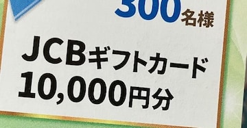JCBMtgJ[h1~/300l3