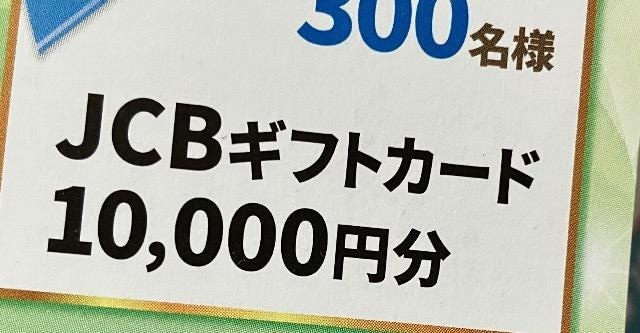 JCBMtgJ[h1~/300l3   `Pbg/ 