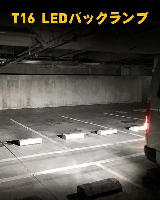 T16 LED obNv 1300[ LZ[ (2Zbg)