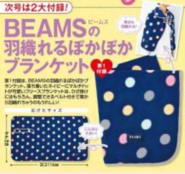 Gt^ BEAMSir[Xj̉HDۂۂuPbg 