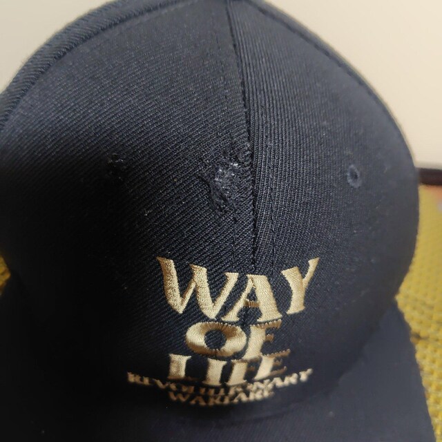 WNi@bc@RATS WAY OF LIFE Lbv  jt@bV 