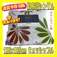 zcVO135~185cmEHbVu