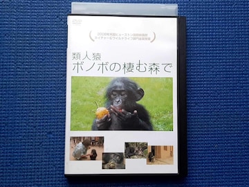 DVD ސl{m{̐ސX