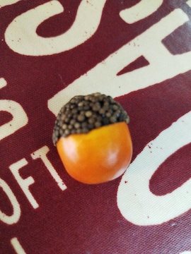ǂ񂮂