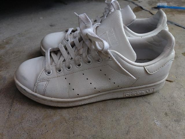 adidas X^X~X  24cm   rj[U[ Xj[J[  uh 