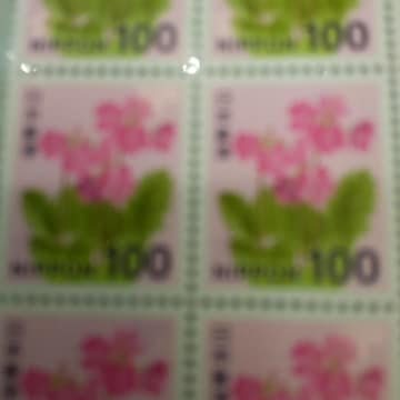 100~؎P@~j^[