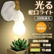 J`bƎ֌Cg LED ԐڏƖ CeACg Ǌ|