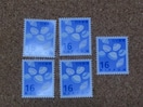 16~؎ 5 ʐ؎