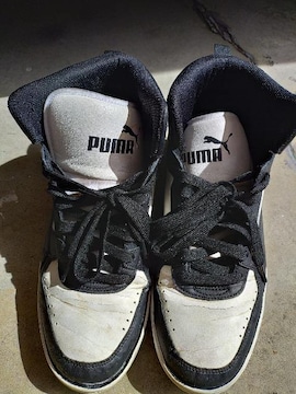 PUMA nCJbgXj[J[ obV v[}  2V.5cm  򉻂  iɂ