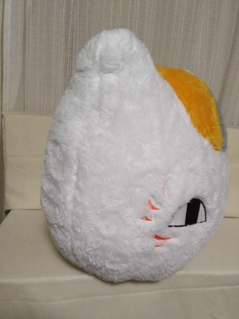 ĖڗFl߂ӂƃjR搶^ʂ