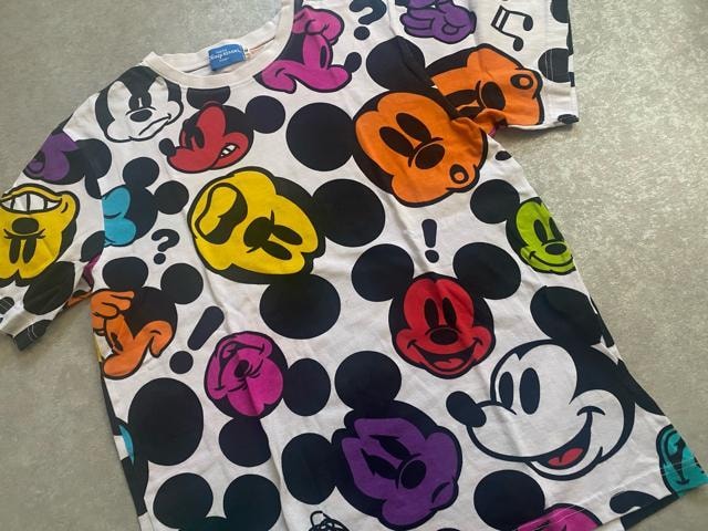 iDISNEY RESORT(fBYj[][g)~bL[TVc  t@bV 