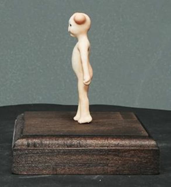 66_oXeg~j5.5cm  zr[ 