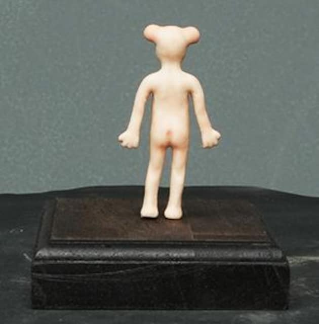 66_oXeg~j5.5cm  zr[ 