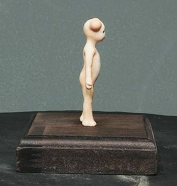 66_oXeg~j5.5cm  zr[ 