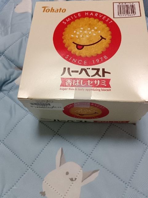 ngAn[xXgA΂ZT~   O/hN 