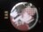 ́vX܂ 藖 ʃobW