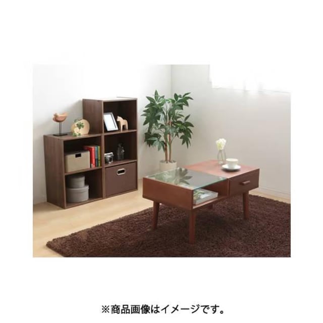 Vi ACXI[} IRIS OHYAMA CB{bNX CX-3 uE  3007  CeA/Ct 
