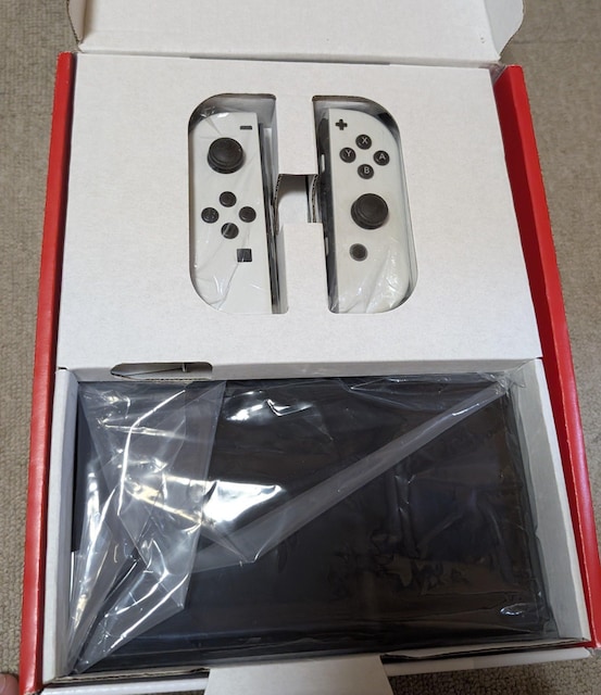 Nintendo Switch L@ELf P[X    Q[{/\tg 