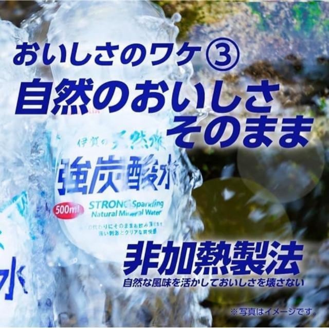 y48{zTKA ɉ̓VR Y_ ybg{g 500ml 2P[X  O/hN 