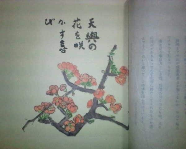 武者小路実篤 自選詩画集 詩画集 武者小路実篤 『自選詩画集』共箱 | 本/雑誌