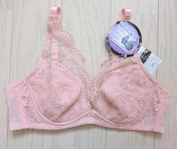 `VTATSUGI݁\tgC[tJbvuW[Vi