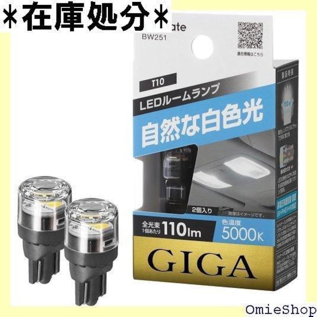 J[Cg CARMATE ԗp LED [v  T10 5000K 110lm 2 BW251 75  /oCN