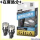 J[Cg CARMATE ԗp LED [v  T10 5000K 110lm 2 BW251 75