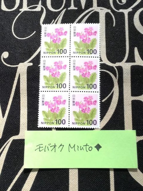 gp100~ʐ؎6600~oyC}   zr[ 