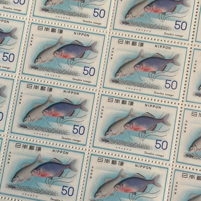 283LO؎1000~(50~؎) 