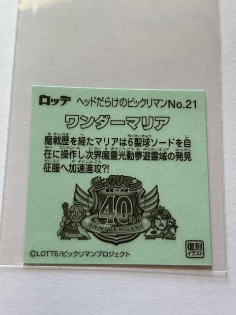 wbh炯̃rbN}NO.21 _[}A  zr[ 