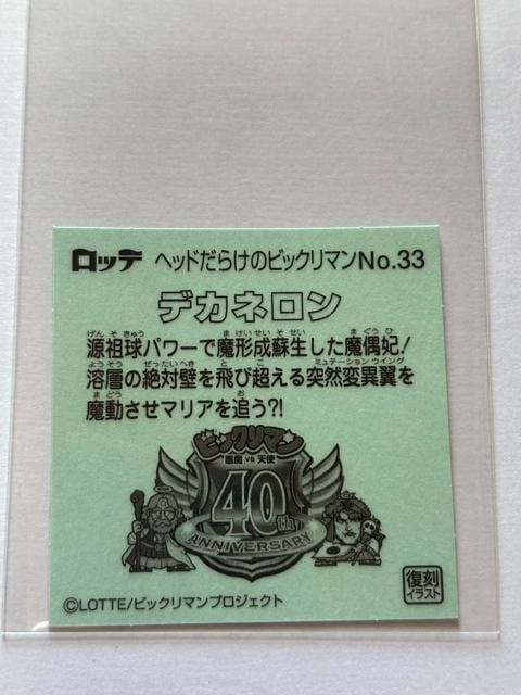 wbh炯̃rbN}NO.33 fJl  zr[ 