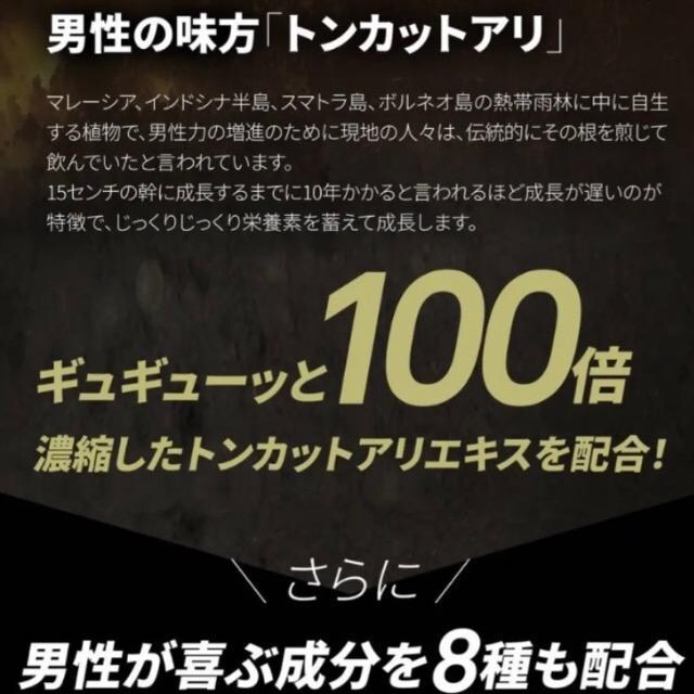 LOp[ Tvg 20{Zk}J+100{ZkgJbgAz  ۂ AMj  wX/r[eB[ 