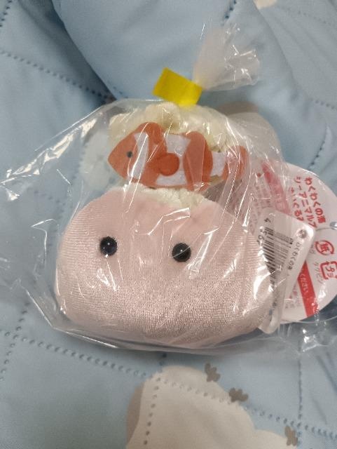 Aj}Yʂ݁AC\M`NVi 
