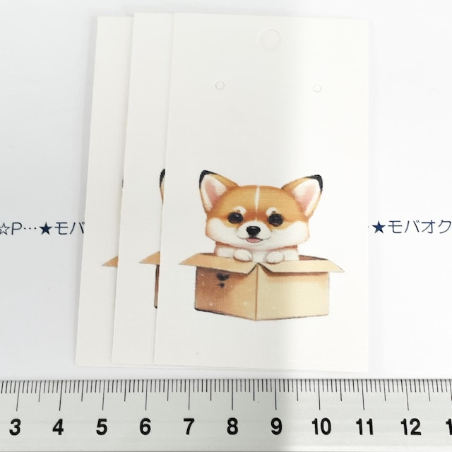 17*ĩANZT[䎆@3@3   CeA/Ct 