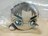 yTݶ̪z2019 a Qׂʂ݁sɐ^t