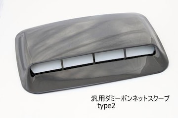 ėp_~[{lbgXN[vtype2